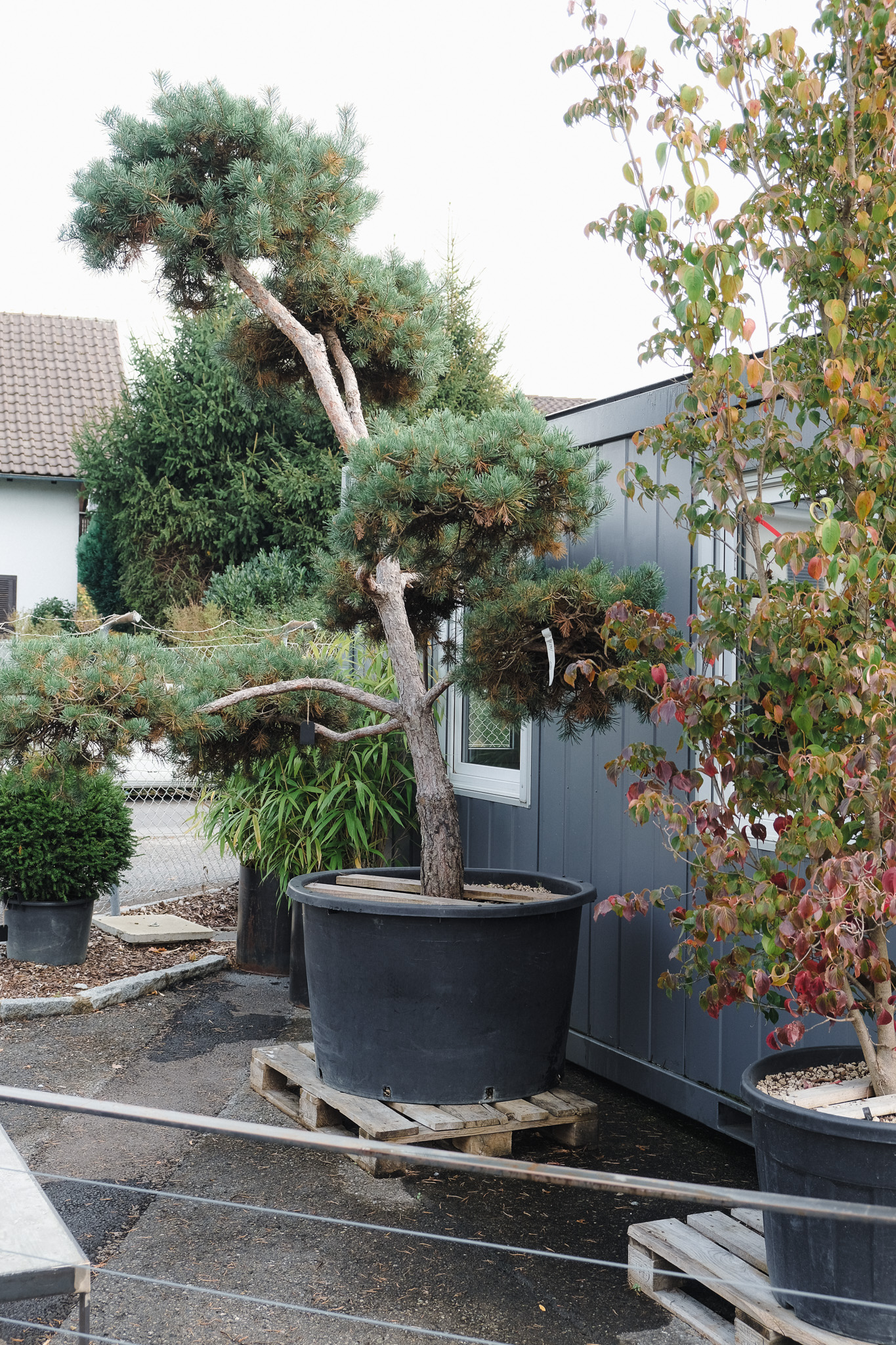 Gartenschmiede_Shooting_20231979